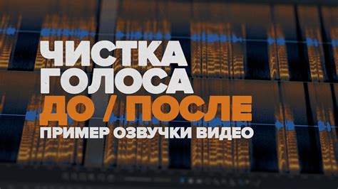Раздел: Без шумов и эхо: секреты и рекомендации