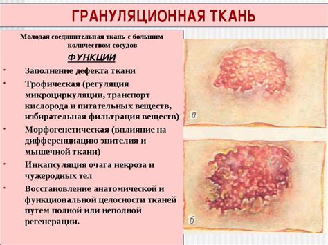 Раздел: Профилактика красноты кожи после удаления засохшей зеленки