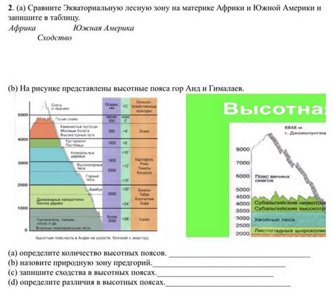 Раздел: Разведайте окружающую местность и лесную зону