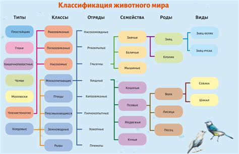 Разделение ресурсов и установление иерархии: ключевые аспекты взаимодействия животных