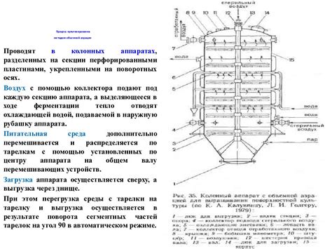 Раздел 3: Процесс ферментации и изготовление емкостей