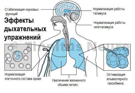 Раздел 4: Практикуйте техники релаксации и дыхательные упражнения
