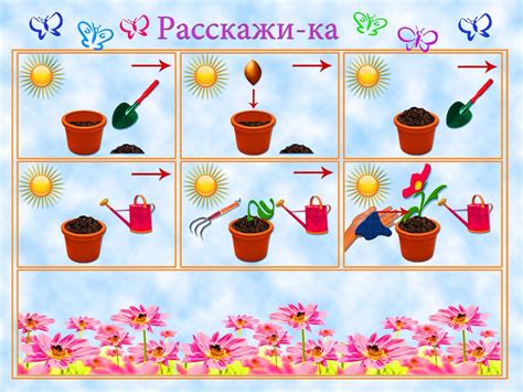 Раздел 8: Содержание и уход за растениями - залог красивого и процветающего сада