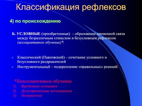Различие между условным и безусловным рефлексом: ключевые особенности