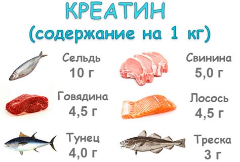 Различия в использовании креатина у мужчин и женщин