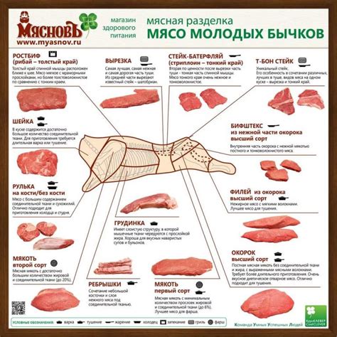 Различия в мясе: использование говядины или курицы
