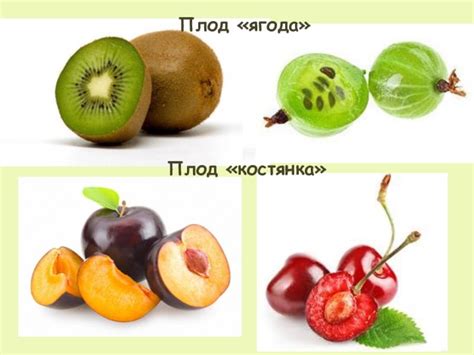 Различия между фруктами, орехами и ягодами