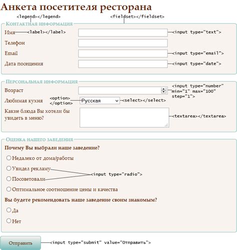Различные варианты полей ввода в HTML: разнообразие и примеры применения
