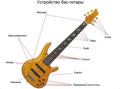 Различные типы и особенности бриджей на бас-гитаре