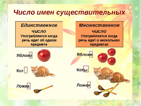 Разнообразие значений множественных имён существительных