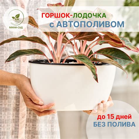 Разнообразие материалов в производстве кашпо с автополивом