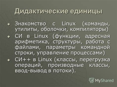 Разнообразие путей: знакомство с командной средой Linux