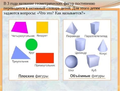 Разнообразие форм в геометрии: особенности и классификация