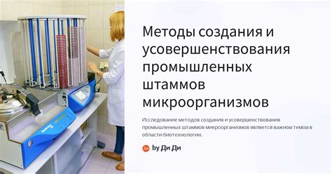 Разнообразные идеи и рекомендации для усовершенствования создания тинти
