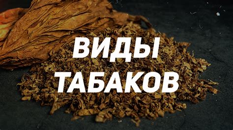 Разные виды и разнообразие сортов табака для курения лулы