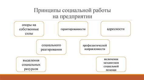 Разоблачение алгоритма: способы работы системы подбора рекомендаций в популярной социальной сети.