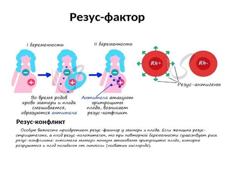 Раннее определение резус-фактора: Как предупредить осложнения заранее