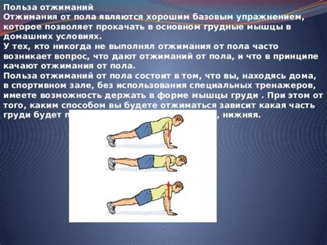 Раскрытие правильного использования отжиманий в тренировочной программе