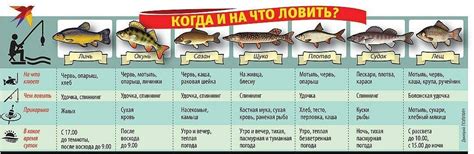 Расположение специального устройства для рыбалки: выбор правильного места