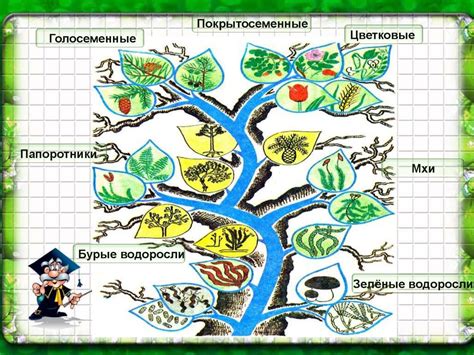 Распространенные виды головни среди животных и растений