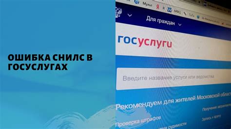 Распространенные трудности и дефекты в процессе проверки СНИЛС на государственном портале