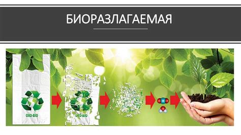 Растительные настои: безопасное и экологически чистое решение