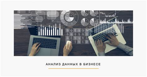 Расчет и анализ данных: изучение и оценка информации