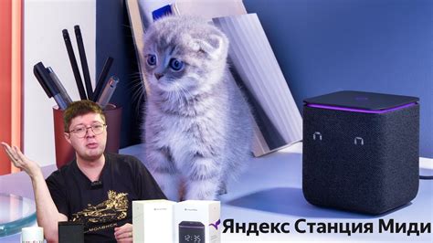 Расширение возможностей мини версии умной домашней ассистентки Алисы с помощью навыков
