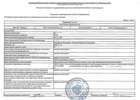 Расшифровка кода Единого товарного номенклатурного реестра: получение информации о товарных группах