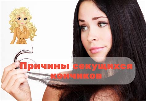 Расщепление кончиков: почему отсутствие ухода может привести к появлению секущихся концов