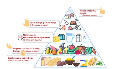 Рацион: как распределить необходимые вещества для поддержания желаемой фигуры