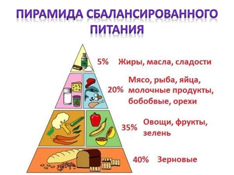 Рациональное питание - ключ к обеспечению энергии и эффективности в рабочей среде