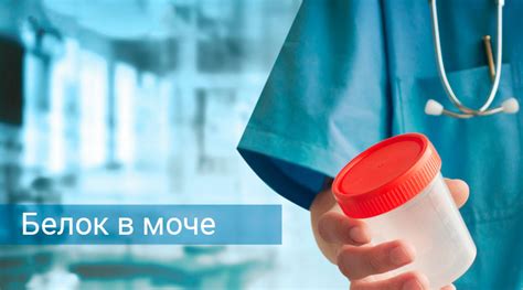 Рациональное употребление соли как способ предотвращения появления белка в моче