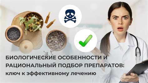 Рациональный подход к лечению и профилактике воспаления Нильм