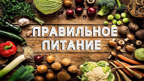 Рацион питания – ключ к силе и жизненным сокам