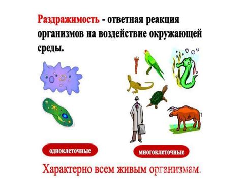 Реакция на внешние раздражители – подтверждение живописности зверей
