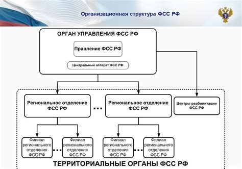 Регистрация в системе Фонда социального страхования