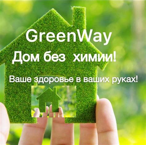 Регулярный осмотр и забота о здоровье птиц как фактор успешного повышения продуктивности яиц