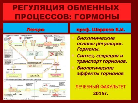 Регуляция обменных процессов и поддержание нормального веса