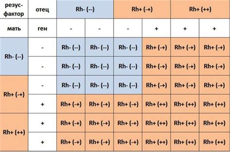Резус-фактор: определение и значение в организме