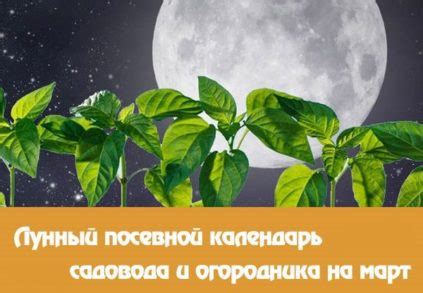 Рекомендации для садоводов и огородников в день полнолуния