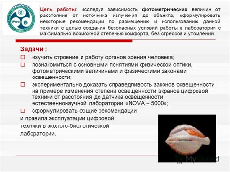 Рекомендации по размещению и использованию