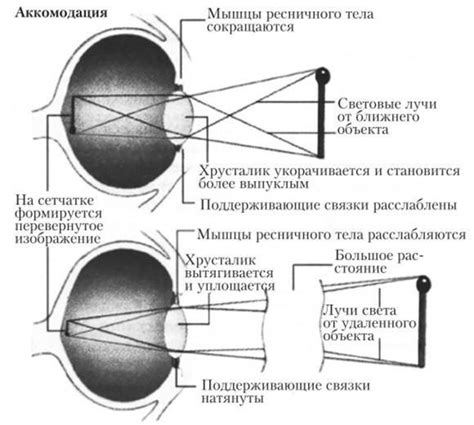 Рекомендации по устранению дискомфорта в органе зрения