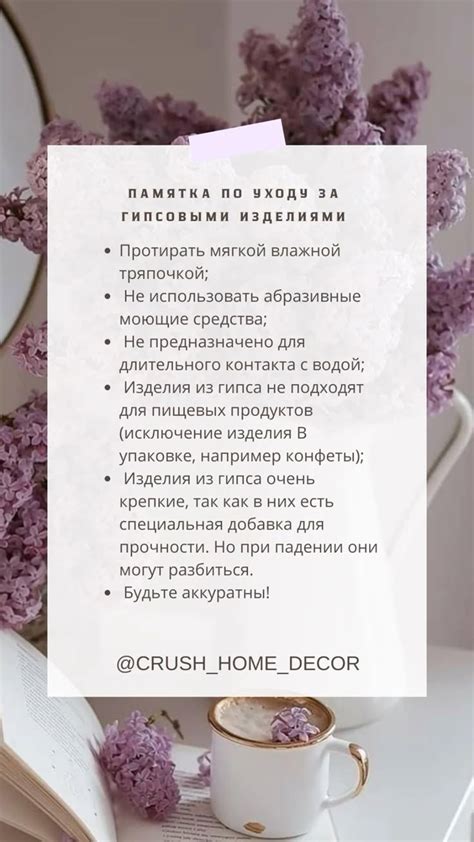 Рекомендации по уходу и обслуживанию домашнего изделия для самопочинки птенцов