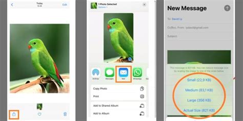 Решение проблем при настройке фонового изображения на устройстве iPhone 8 Plus
