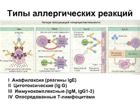 Риск аллергических реакций от жареных семечек: как избежать неприятных последствий