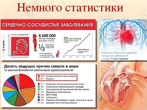 Риск возникновения сердечно-сосудистых заболеваний при употреблении жира животного происхождения