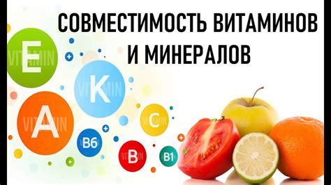 Ричные витамины и минералы делают нут идеальным продуктом