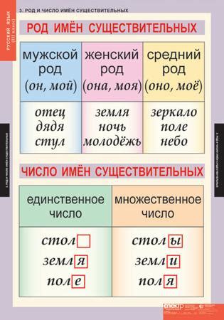 Род и число: обозначение характеристик существительных