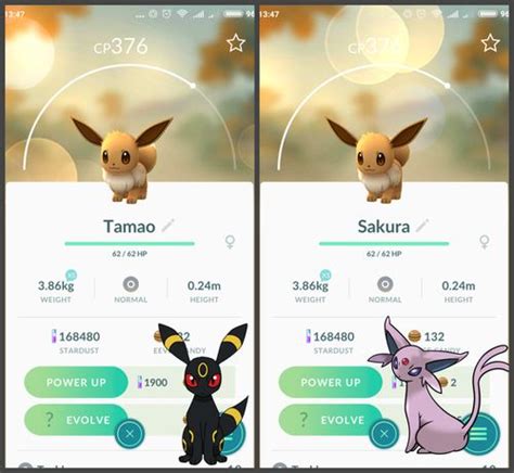 Роль Иви в эволюции на примере Pokémon GO